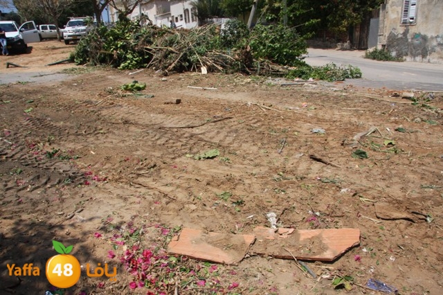 hadmqobtan423zoher (42).JPG